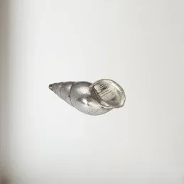 Spiral Pewter Shell Ornament (M)