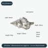 Tulip Pewter Shell Ornament