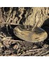 Paisley Pewter Bowl
