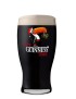 Christmas Toucan Guinness Pint Glass